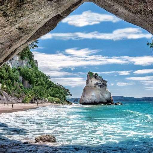 בדיקה ללא מייל עם טלפון