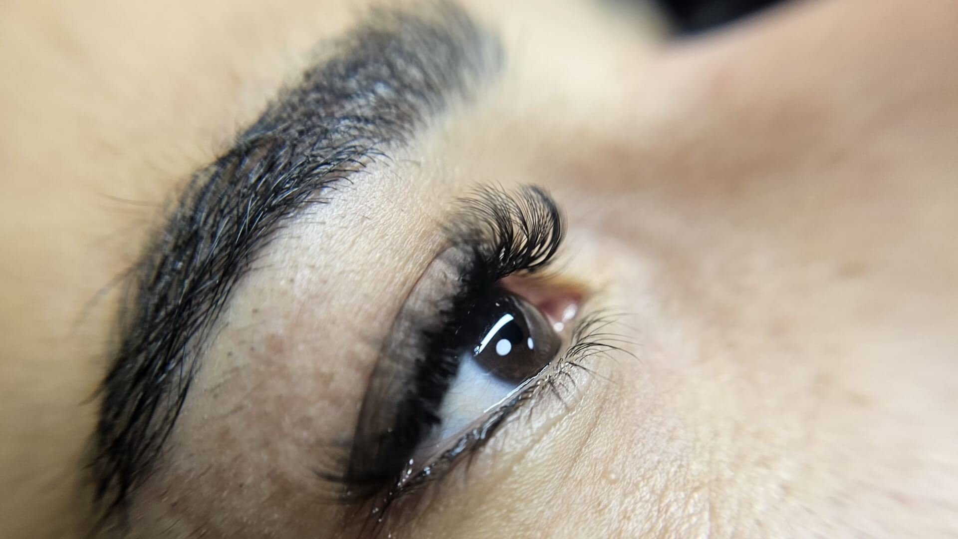  | Morani Beautylashes  brows