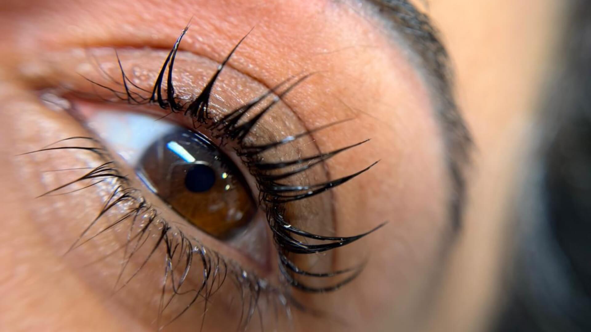  | Morani Beautylashes  brows