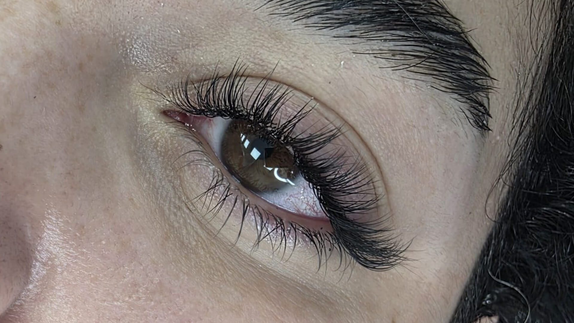  | Morani Beauty_lashes  brows