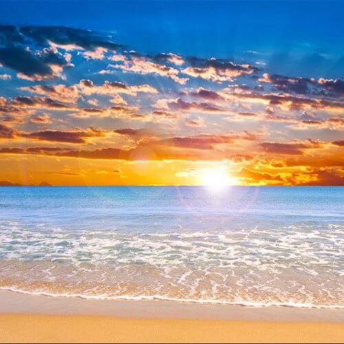 חברת בדיקות פטור 2 | lee