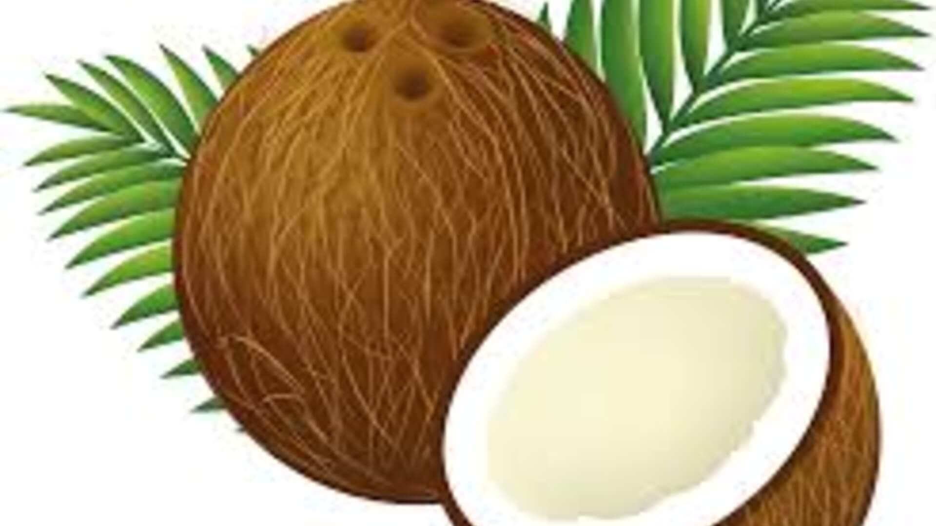 חברת בדיקות פטור 2