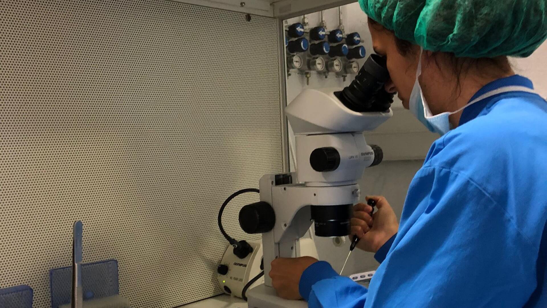 המרכז הארצי לפריון