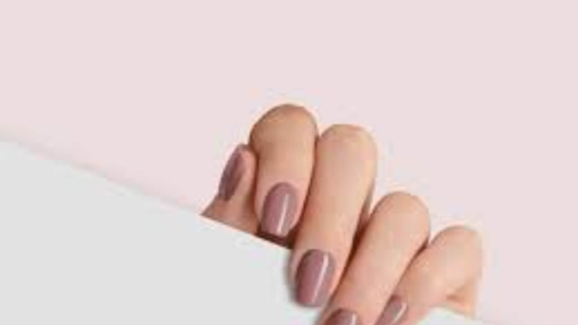 אנה QA מורשה