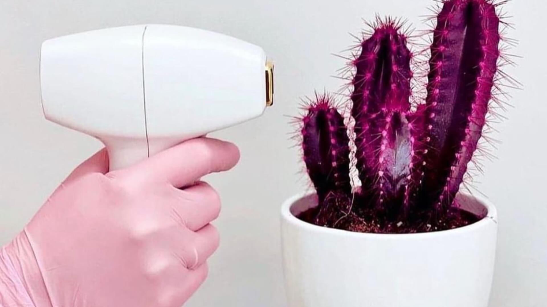 מסירים הסרת שיער בלייזר