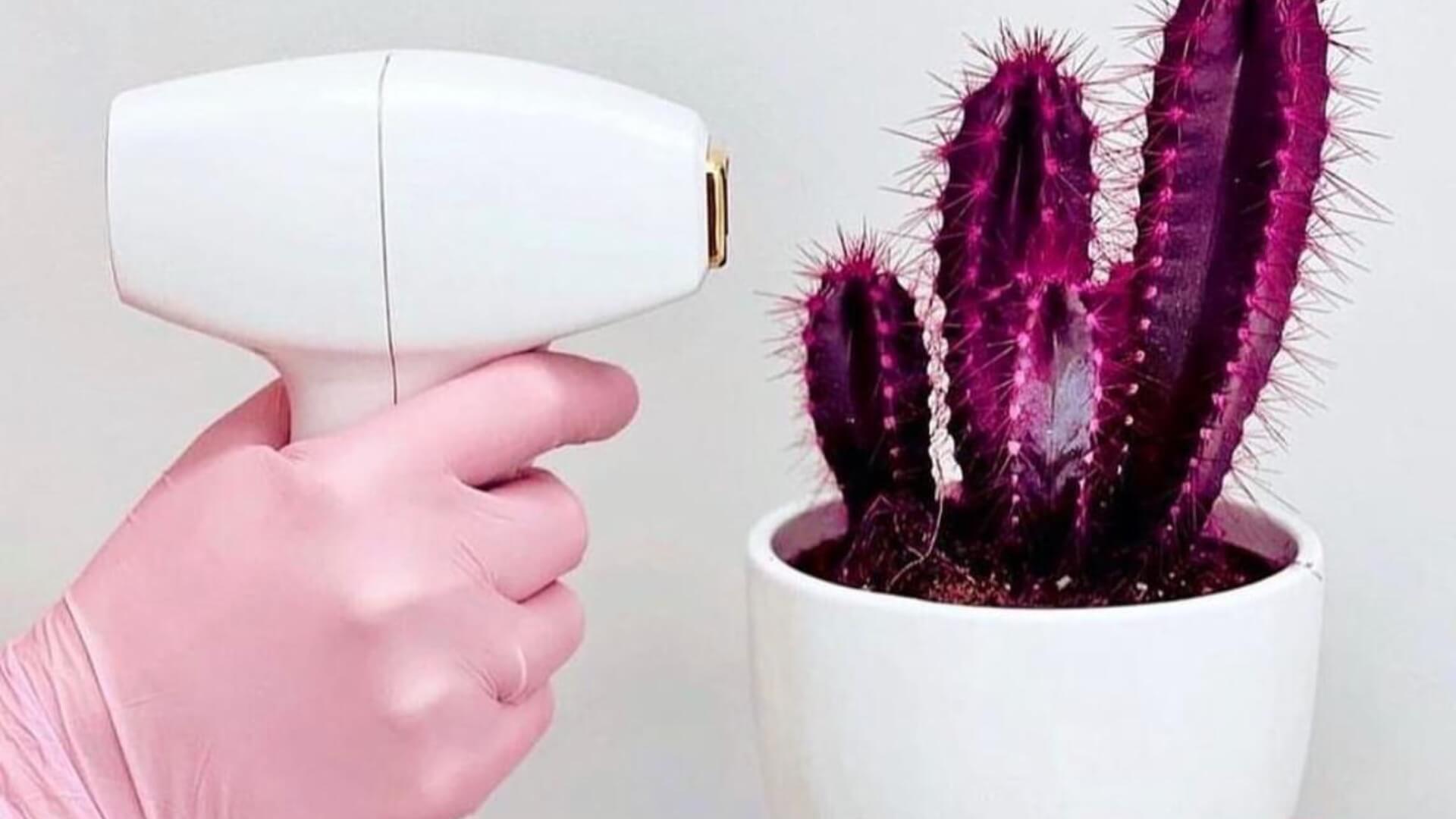 מסירים הסרת שיער בלייזר