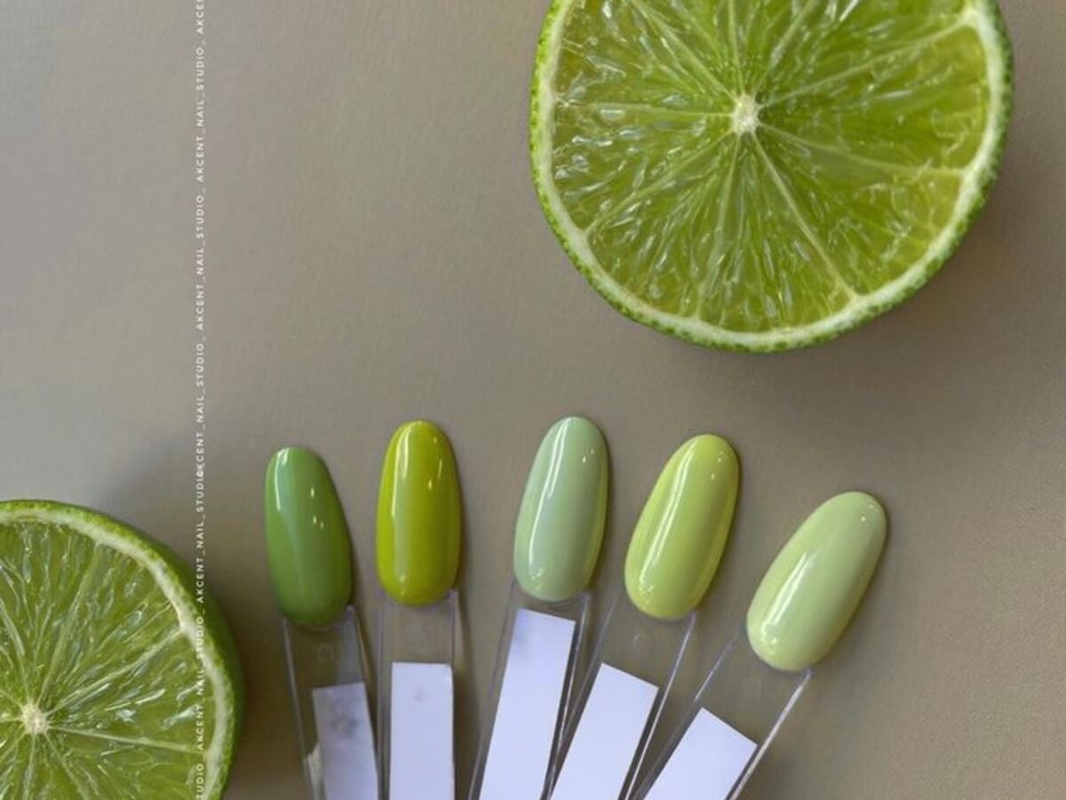 פינק מערכת דמו | lee