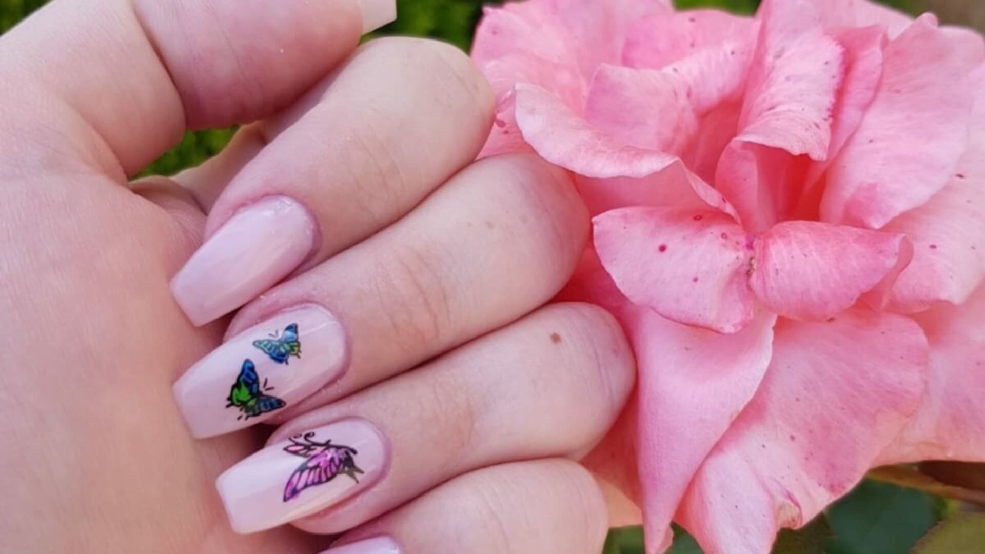 יפעת גרינשפן