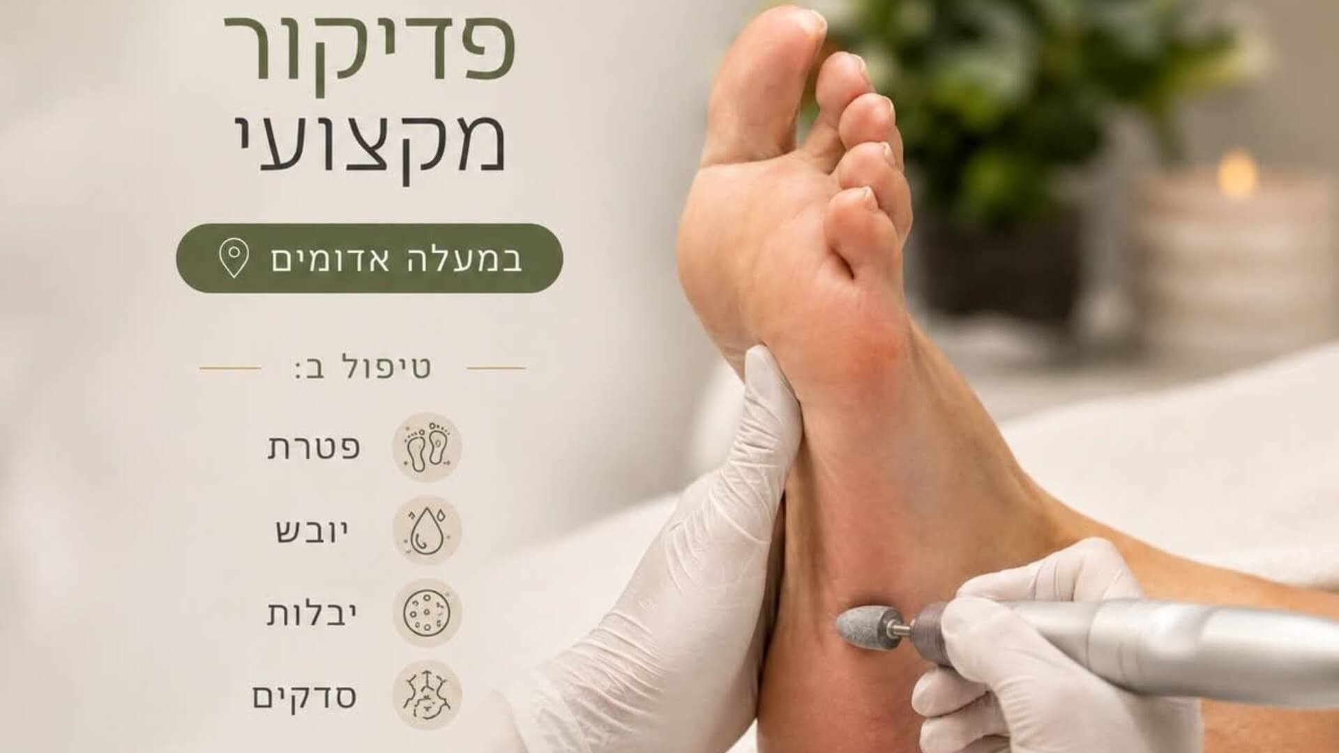  | ורד ביוטי